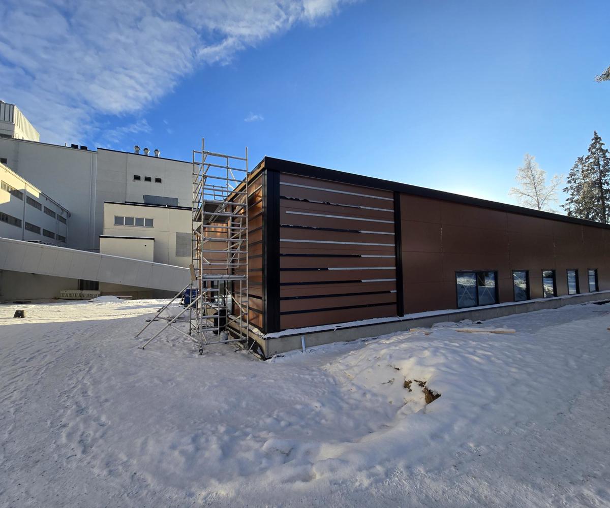 shared image - 2026-02-12T130819.494.jpg