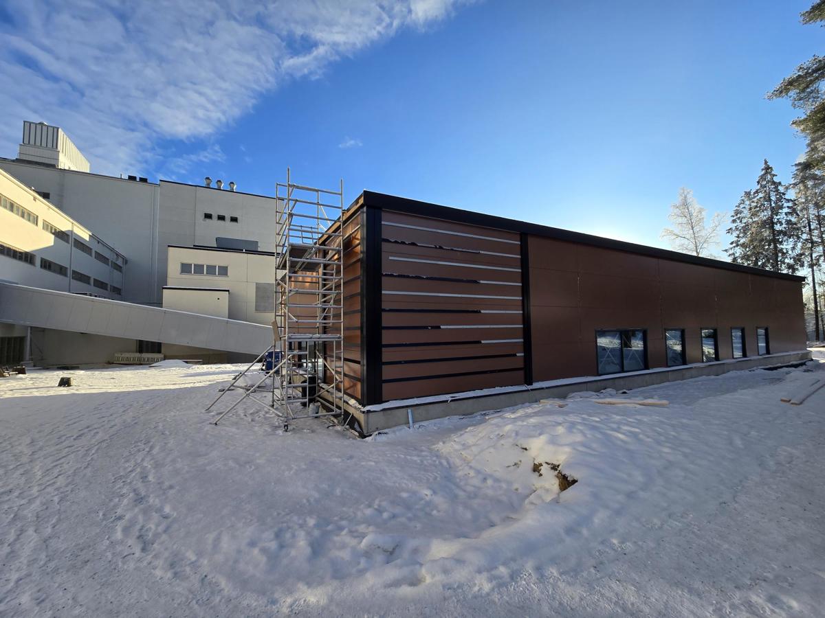 shared image - 2026-02-12T130819.494.jpg